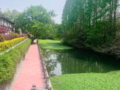 -扬州瘦西湖汇金酒店