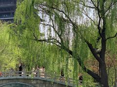 -济南大明湖景区