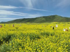 -扁都口生态休闲旅游区