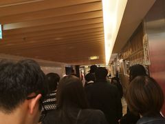 -矢场猪(名古屋站三井楼北馆店)