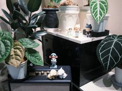 -Dogi&kiki Coffee(中心商务大厦店)
