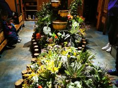 -小木屋米酒店总店