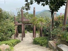 -杭州半山国家森林公园