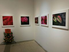 -龙环葡韵住宅式博物馆