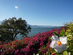 -南诏风情岛