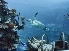 -瑞德姆美人鱼海底演艺主题餐厅(亚龙湾店)