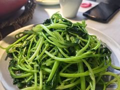 -蜀龙阁· 龍头水煮鱼(天坛店)