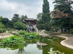 -国家植物园南园