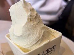 -野人牧坊Gelato(天津南开大悦城店)
