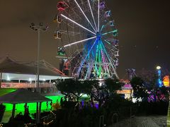 -巨鹏飞梦幻海岸