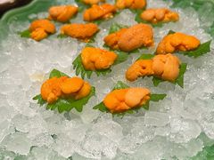 -月龍吟(朝龙汇店)