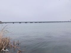 -南湖湿地公园