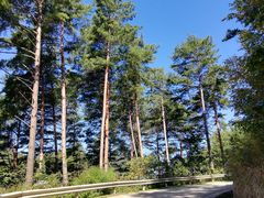 -丹东天桥沟景区