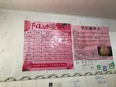 -老袁家蜜桃农场·阳山水蜜桃