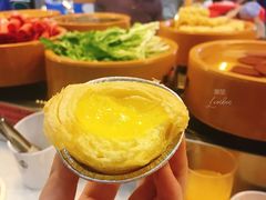 -龍歌自助小火锅(李沧丽达店)