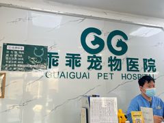 -乖乖宠物医院·猫科·骨科·24小时(云岗分院)