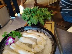 -古膳记猪肚鸡.生蚝鸡(拱北店)