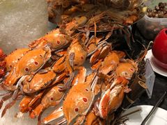 -安蒂娅·海鲜自助餐厅(安蒂娅美兰酒店)