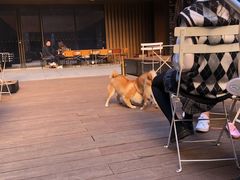 -M Stand(BFC外滩金融中心店)