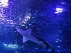 -常州海昌海洋探索馆