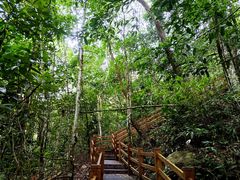 -海南霸王岭国家森林公园