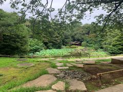 -东京国立博物馆