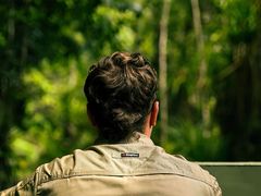 -热带雨林自然公园