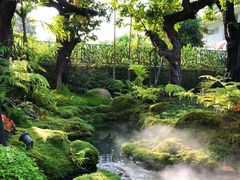 -Chom Cafe and Restaurant