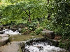 -中国茶叶博物馆(双峰馆区)