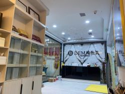 -DEM缔怡美科技美容