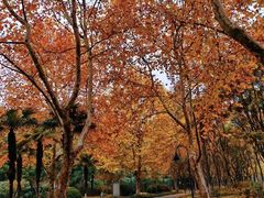 -石家庄市植物园