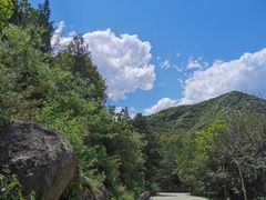 -鹫峰国家森林公园