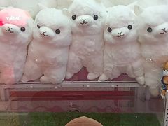 -LLJ夹机占(清河万象汇店)