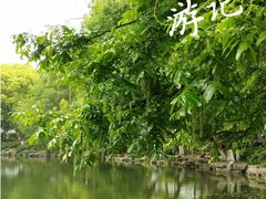 -桂林市榕杉湖景区