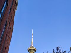 -康莱德酒店·美庭自助餐厅