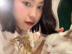 -猫儿山۰猫主题餐厅