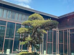 -上海崇明金茂凯悦酒店