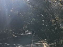 -灵顺寺