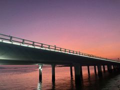 -演武大桥观景平台