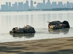 -东湖磨山景区
