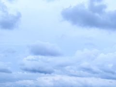 -深圳湾公园(南山区)