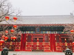 -香山公园