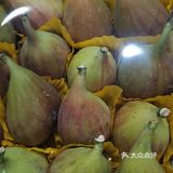 无花果，在我们老家庭院里家家都会栽一棵