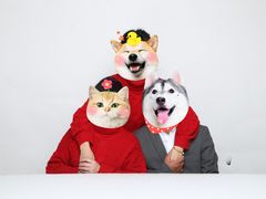 -一墨照相馆·证件照·形象照(世博店)