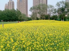 -长白岛森林公园