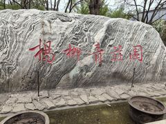 -杨柳青庄园
