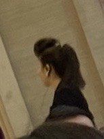 -太子园林酒家