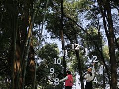 -云溪植物园