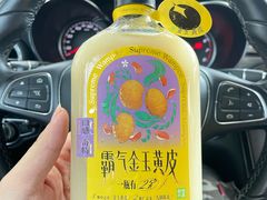 金玉黄皮-奈雪的茶(永嘉天地东百城店)