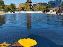 -龙华素斋(龙华路店)